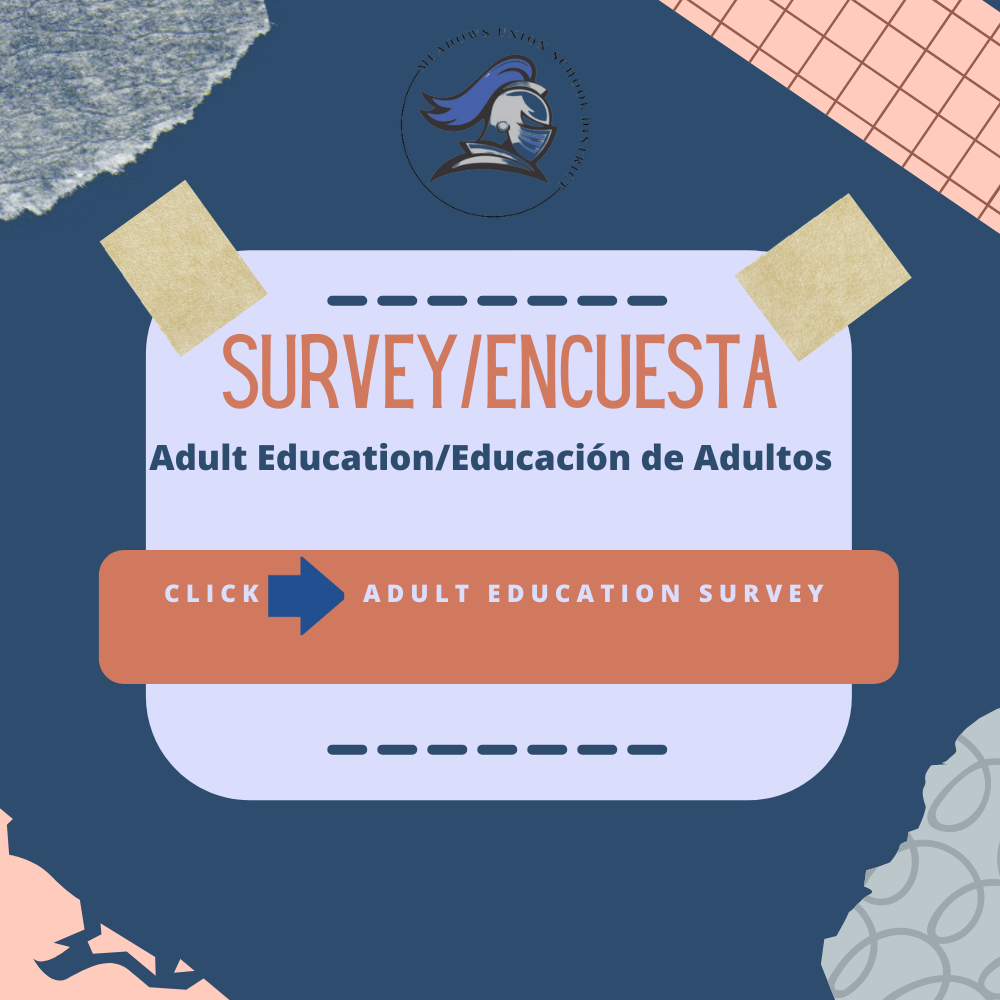 Adult Education Survey